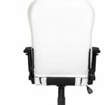 AKRacing Masters Series Arctica - Premium Gaming Chair with High Backrest, Recliner, Swivel, Tilt, Rocker and Seat Height Adjustment Mechanisms